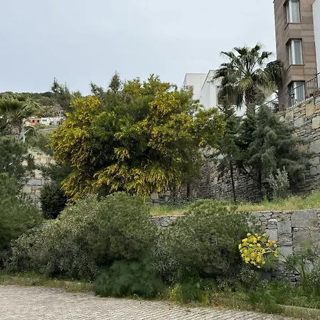 فندق The Rest Port Argento *