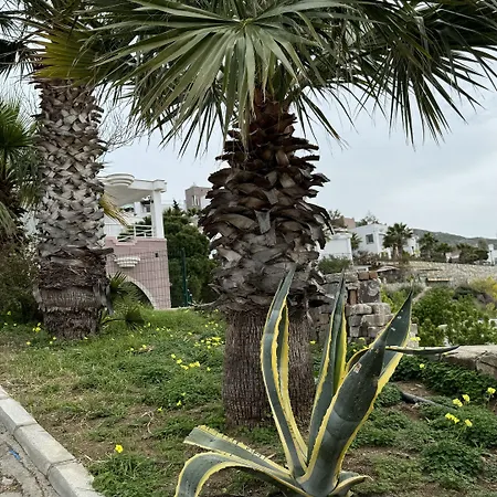 The Rest Port Argento *