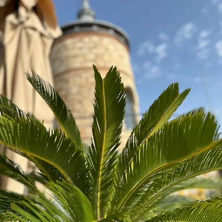 The Rest Port Argento