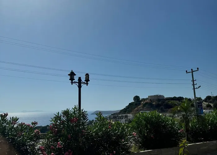 The Rest Port Argento *