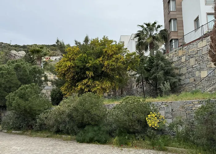 Hotel The Rest Port Argento *